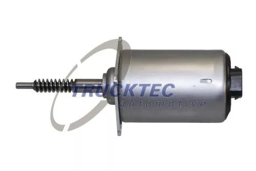 Stellelement, Exzenterwelle (variabler Ventilhub)