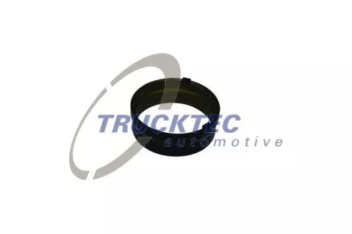 Dichtring